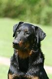 BEAUCERON 844